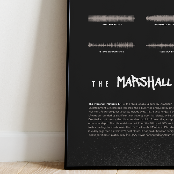 The Marshall Mathers Lp (180Gr+Down (LP), Steve Berman, Musique